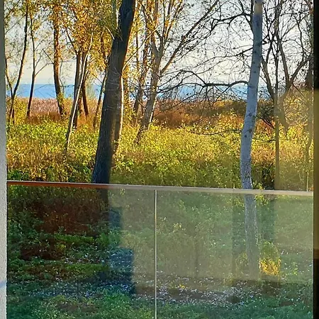 Blue4